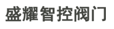 Wenzhou Shengyao Intelligent Control Valve Co., Ltd.
