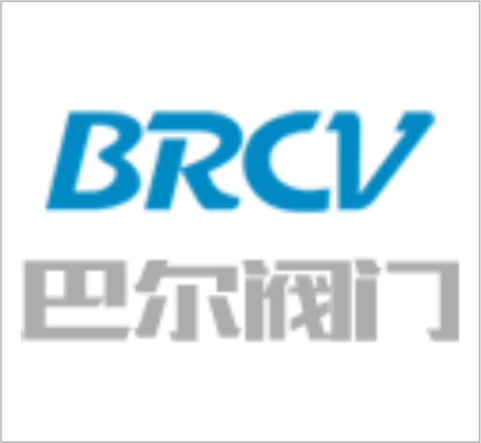 zhejiang Baer Valve Co., Ltd.